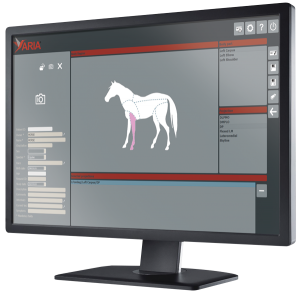 screen-2-cavallo